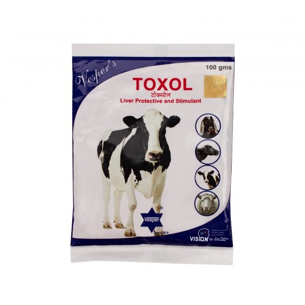 TOXOL - FEED - Image 3
