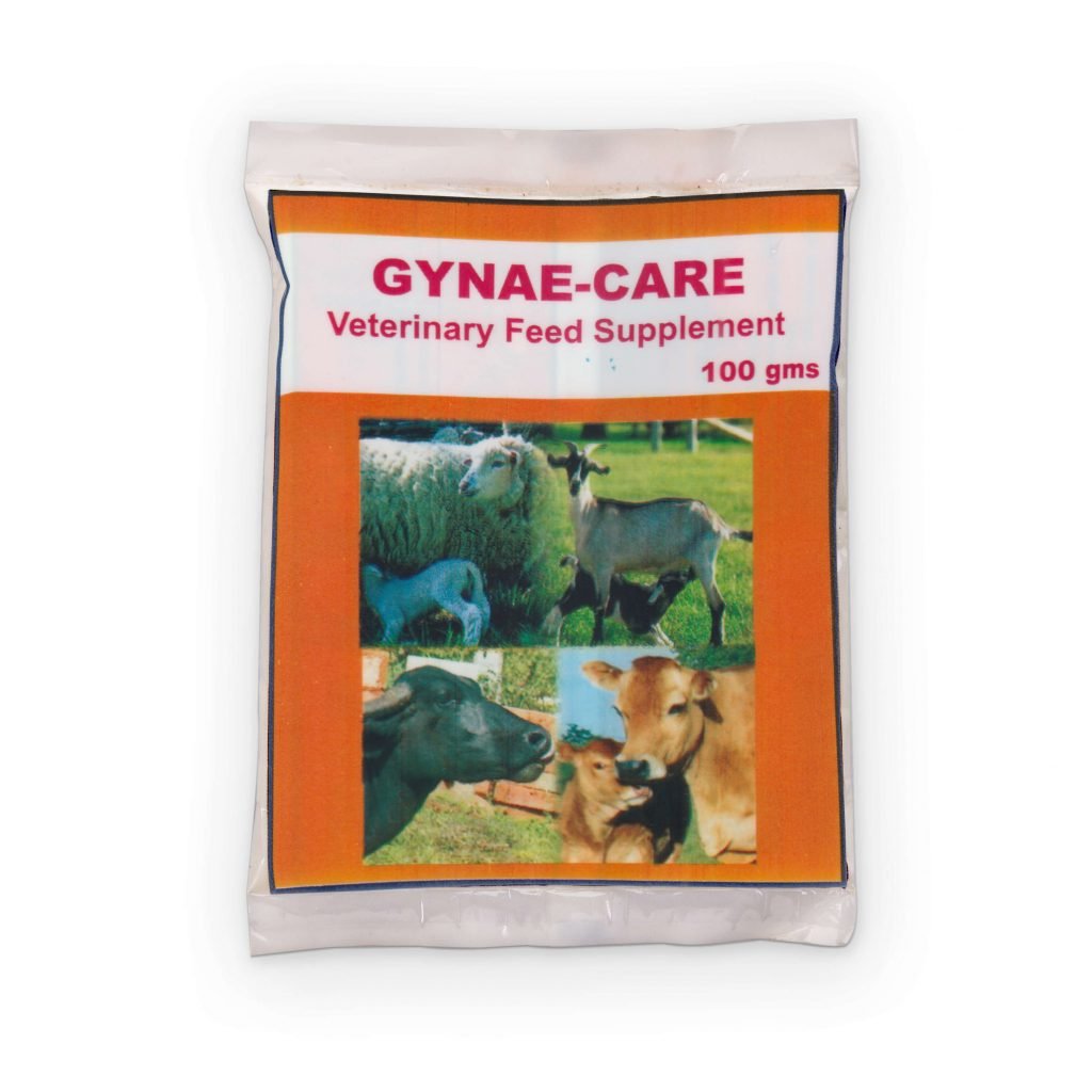 Gynae Care 100 gms, 500 gms Vesper Online