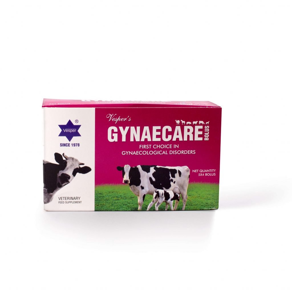 Gynaecare bolus (5x4 bolus) Vesper Online